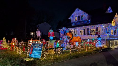 PXL 20241125 000714962