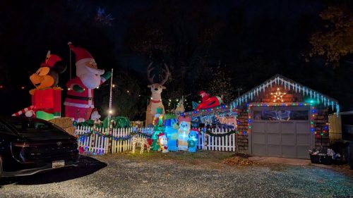 PXL 20241125 000845844