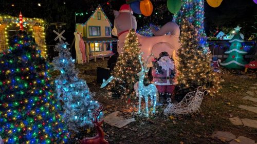 PXL 20241125 000924441