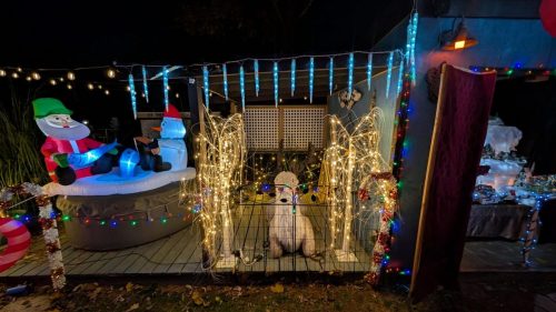 PXL 20241125 000950173