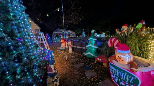 PXL 20241125 001000985