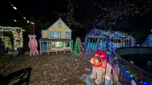 PXL 20241125 001010260