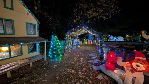 PXL 20241125 001018247