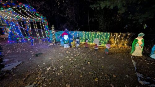 PXL 20241125 001030250