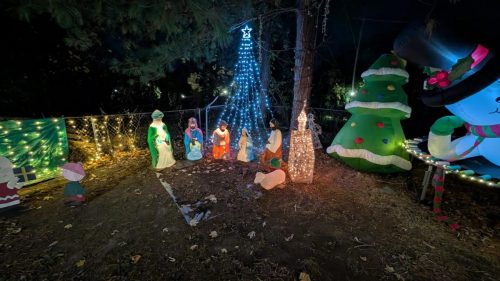 PXL 20241125 001032807