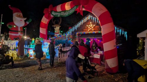 PXL 20241201 002315734