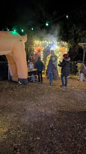 PXL 20241207 011128134