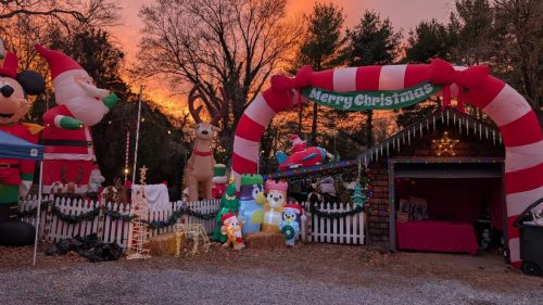 PXL 20241207 214636290