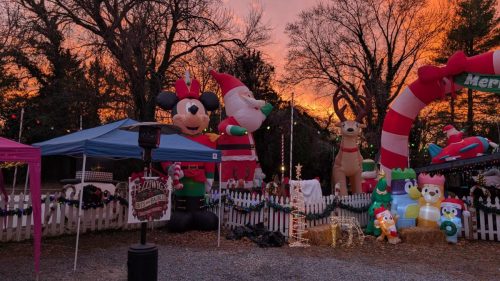 PXL 20241207 214638235