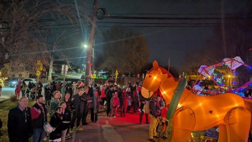 PXL 20241208 000501607