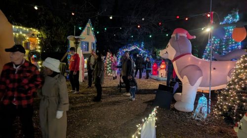 PXL 20241208 001624002