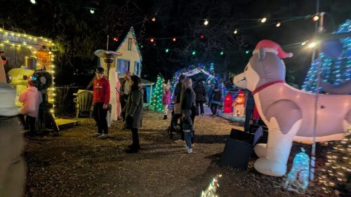 PXL 20241208 001624634