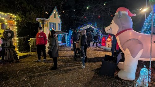 PXL 20241208 001625285