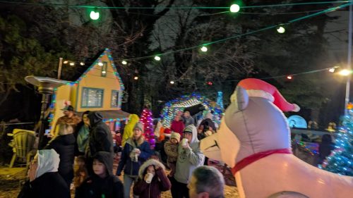 PXL 20241214 001902949