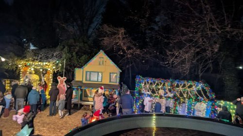 PXL 20241215 003312797