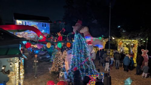 PXL 20241215 003314629